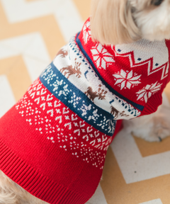 Ember Dog sweaters Pack of 2