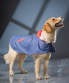 Cape Style Cornflower Blue- Dog Raincoat