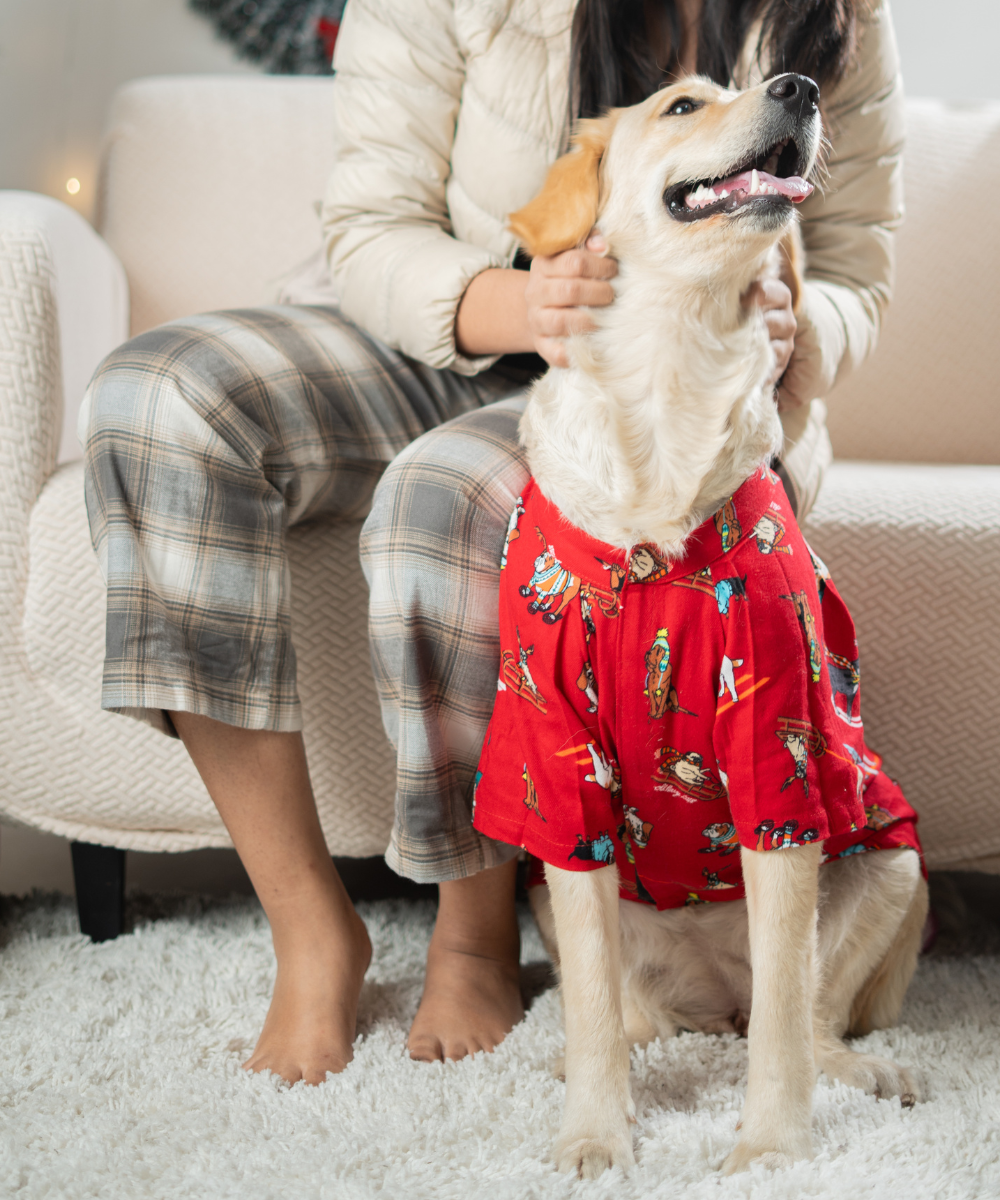 Plaid Dog And Human Matching Christmas Pajamas For Dogs Buffalo