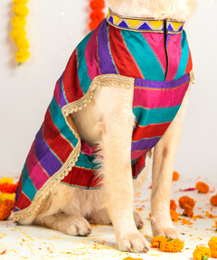 Eira Dog Kurta