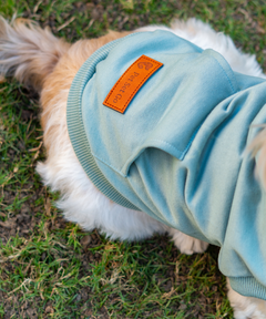 Teal Dog Hoodie