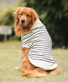 Classic Stripe Knit Sweater