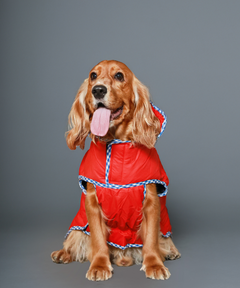 Dog Jacket
