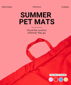 Coloured Pet Mat