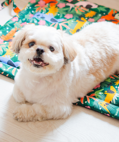 Pawradise Pet Mat