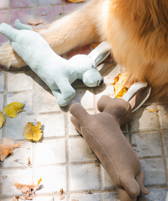 Cheerful Pup Plush Dog Toy