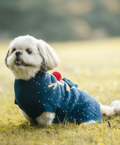 Snowy Sweater