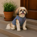 Pet Set Go Festive Dog Kurta (Blue)