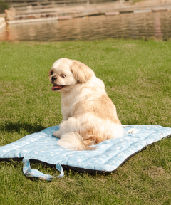 Sky Bloom Pet Mat