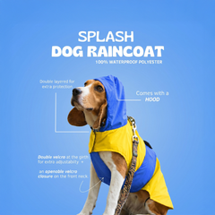 Pet Set Go Dog Raincoat (Yellow & Blue)