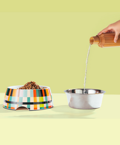 2-in-1 Melamine Dog Bowl Abstract