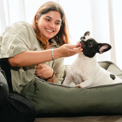 The Olive Lounger Dog Bed