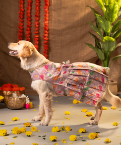 Purple Dog Dress