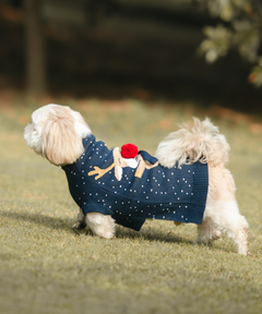 Chilly Dog sweaters Pack of 2