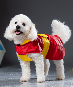 Splash-Proof Red Yellow- Dog Raincoat