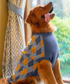 Checks Knit Dog Sweater