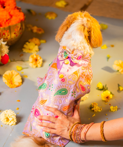 Dog Kurta with Bowtie Purple