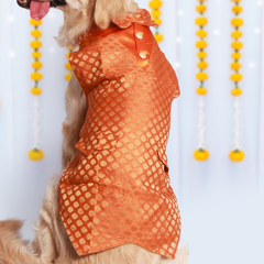 Dog Kurta with Bowtie Orange