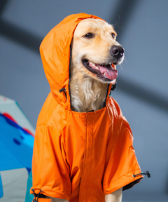 Full-Coverage Dog Raincoat: Orange-Blue