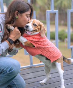 Cozy Dog sweaters Pack of 2