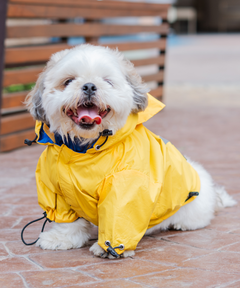 Full-Coverage Dog Raincoat- Yellow