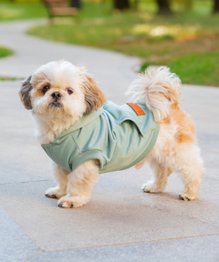 Teal Dog Hoodie