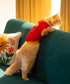 French Fries Cat T-shirt