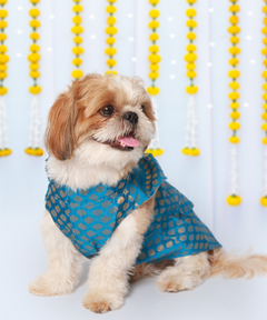 Dog Kurta with Bowtie Blue