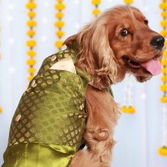 Dog Kurta with Pocket Square Green