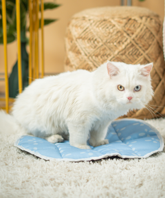 Cat Mat