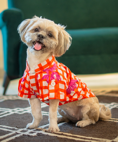 Gingham Garden Shirt