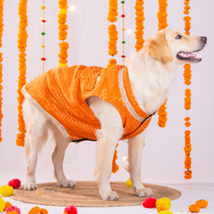 Pet Set Go Dog Kurta (Bright Orange)