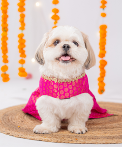 Festive Brocade Dog Dress (Pink)