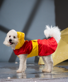 Splash-Proof Red Yellow- Dog Raincoat