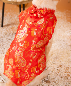 Cute Dog Kurtas Pack of 2