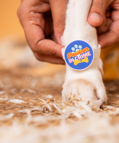 Dog Bracelet