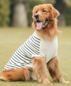 Classic Stripe Knit Sweater