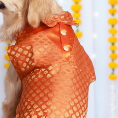Dog Kurta with Bowtie Orange