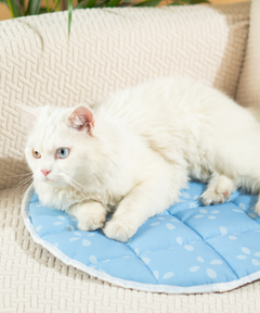 Cat Mat