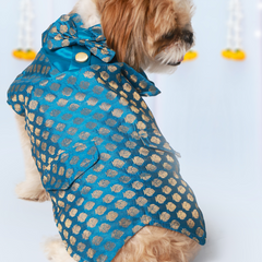 Dog Kurta with Bowtie Blue