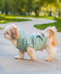 Teal Dog Hoodie