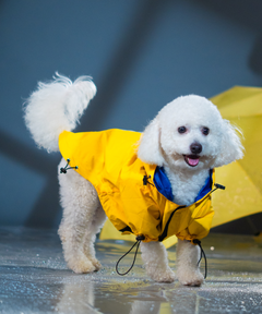 Drop Dog Raincoats Pack of 2