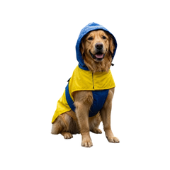 Pet Set Go Dog Raincoat (Yellow & Blue)