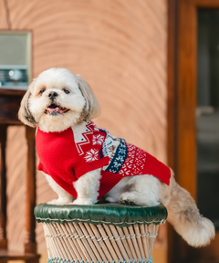 Red Snuggle Sweater