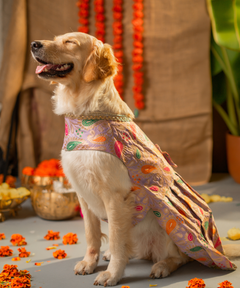 Purple Dog Dress