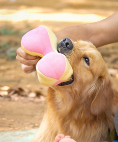 3D Bone Plush Dog Toy
