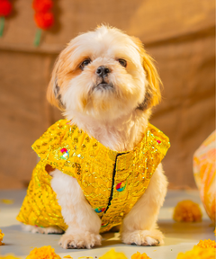 Dog Kurta Yellow