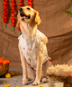 White-Pink Dog Kurta