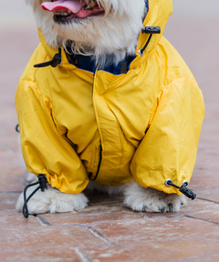Full-Coverage Dog Raincoat- Yellow