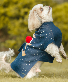 Chilly Dog sweaters Pack of 2